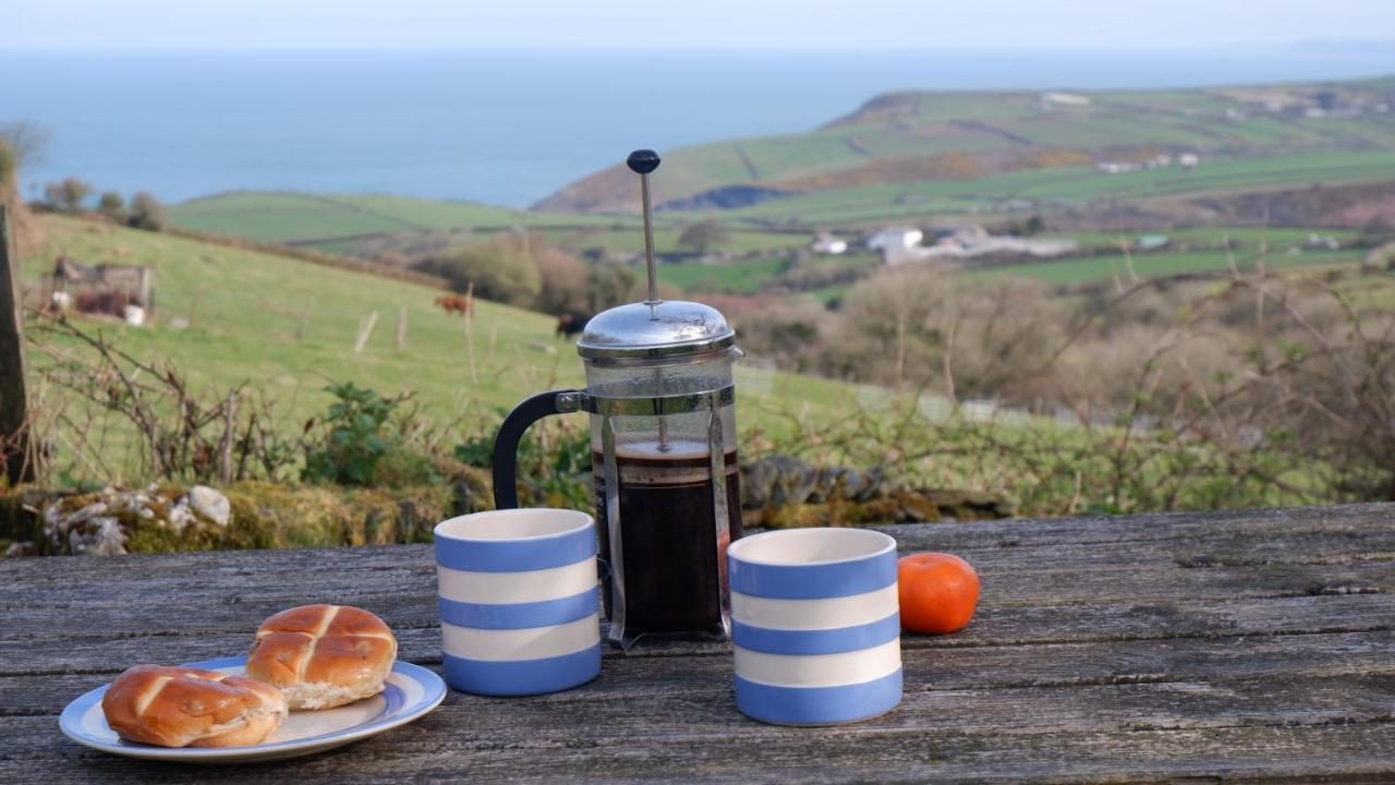 Polrunny Farm Seaberry Cottage With A Sea View And Log Burner Boscastle Luaran gambar