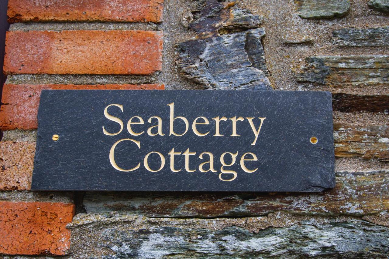 Polrunny Farm Seaberry Cottage With A Sea View And Log Burner Boscastle Luaran gambar