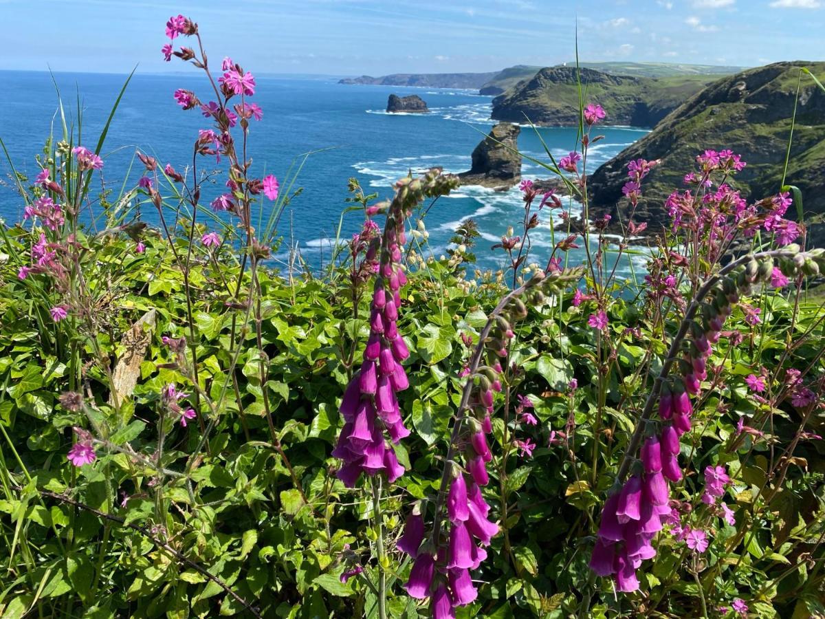 Polrunny Farm Seaberry Cottage With A Sea View And Log Burner Boscastle Luaran gambar